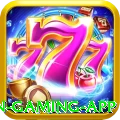 pgx555 Champion Gaming App